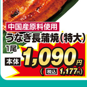 うなぎの蒲焼き