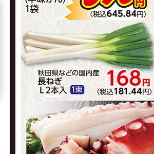 ながねぎ