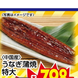 うなぎの蒲焼き