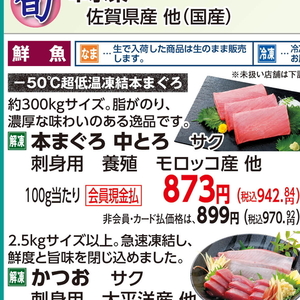 まぐろ中とろ