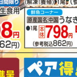 うなぎの蒲焼き