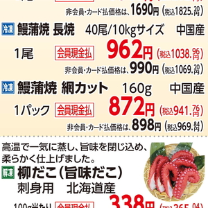 うなぎの蒲焼き