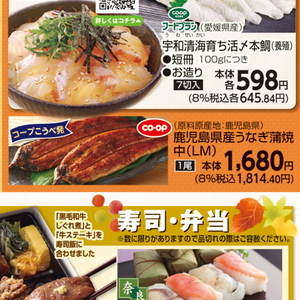 うなぎの蒲焼き