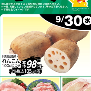 レンコン