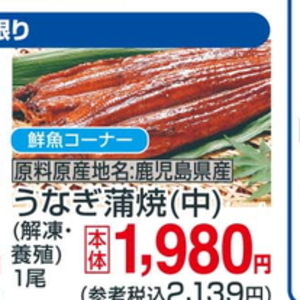 うなぎの蒲焼き