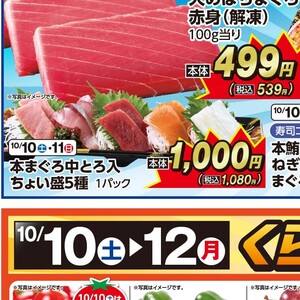 まぐろ中とろ