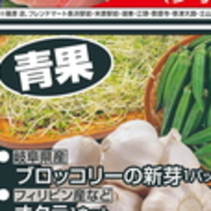 ブロッコリースプラウト