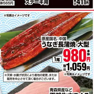 うなぎの蒲焼き