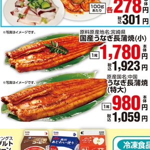 うなぎの蒲焼き