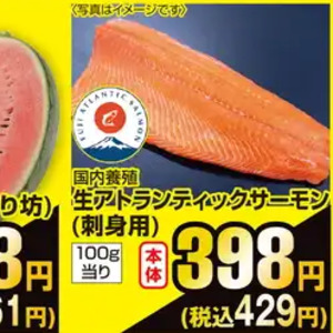 サーモン（刺身）