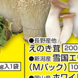 えのき茸