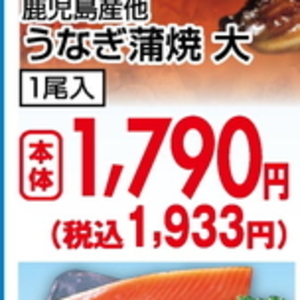 うなぎの蒲焼き