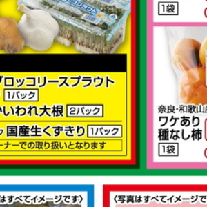 カイワレ大根