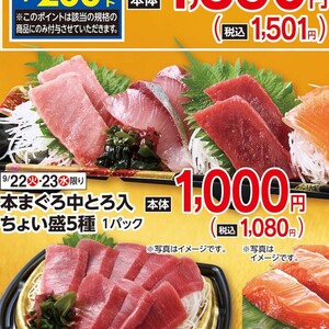 まぐろ中とろ