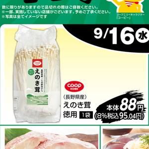 えのき茸