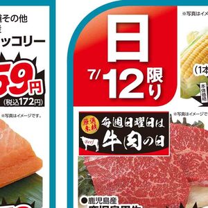 ブロッコリー