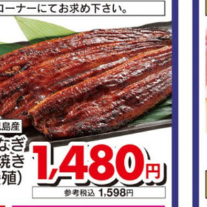 うなぎの蒲焼き