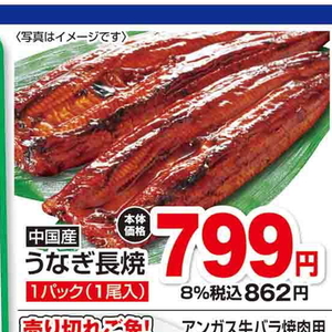 うなぎの蒲焼き