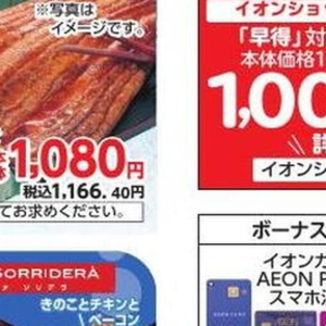 うなぎの蒲焼き