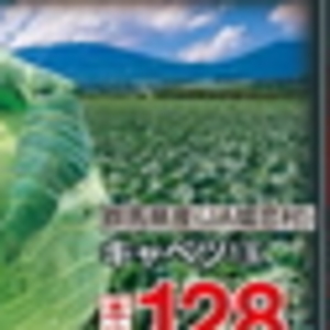 きゃべつ
