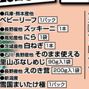 ながねぎ