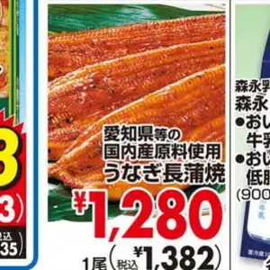 うなぎの蒲焼き