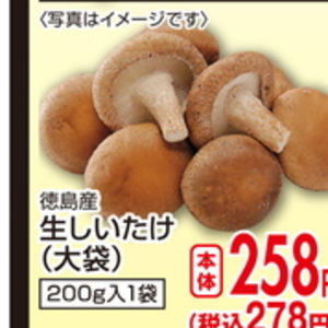 しいたけ