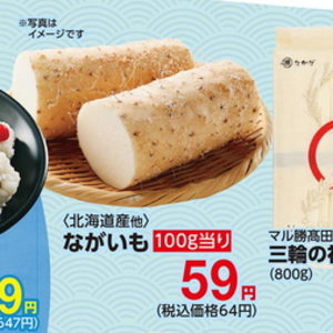 その他魚介刺身