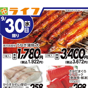 うなぎの蒲焼き