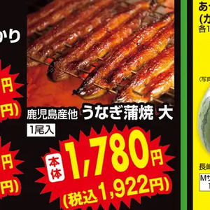 うなぎの蒲焼き