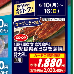 うなぎの蒲焼き