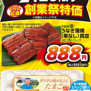 うなぎの蒲焼き