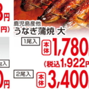 うなぎの蒲焼き