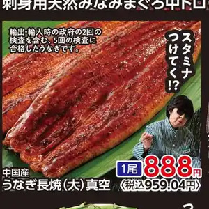 うなぎの蒲焼き
