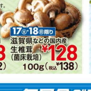 しいたけ