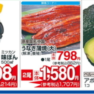 うなぎの蒲焼き