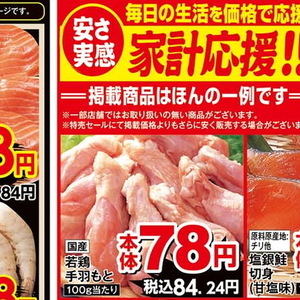 鶏手羽元