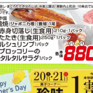 うなぎの蒲焼き