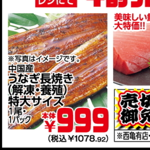 うなぎの蒲焼き