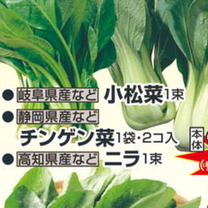 こまつ菜