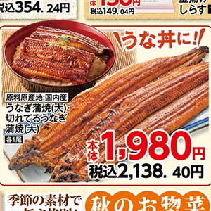うなぎの蒲焼き