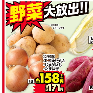 たまねぎ
