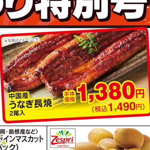 うなぎの蒲焼き