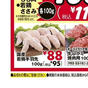 鶏手羽元
