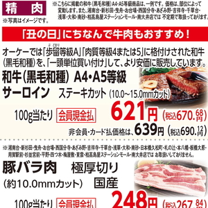 牛ステーキ用