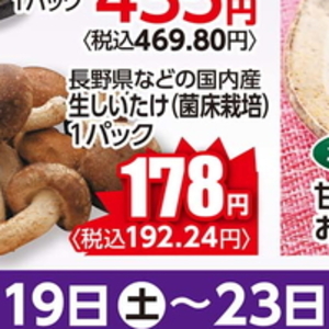 しいたけ