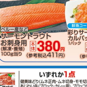 サーモン（さく取り）
