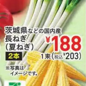 ながねぎ