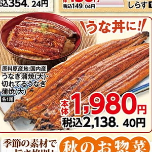うなぎの蒲焼き
