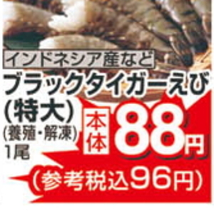 えび（ブラックタイガー）